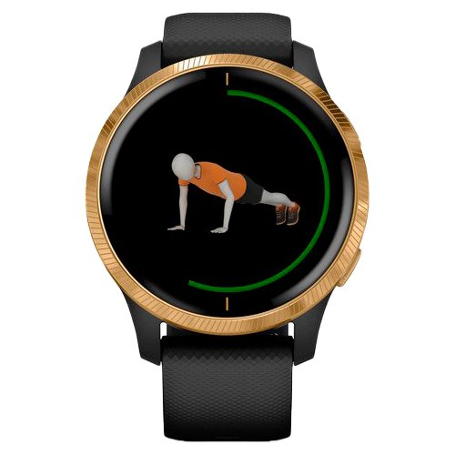 Часы для спорта Garmin Venu Gold Black