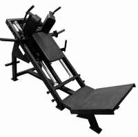 Гакк-присед Bronze Gym Partner BGR-810