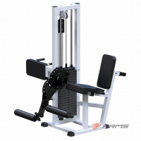 Разгибание ног сидя + сгибание стоя ARMS (стек 100 кг) AR041