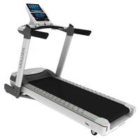 Беговая дорожка Eurofit Boca Pro IWM