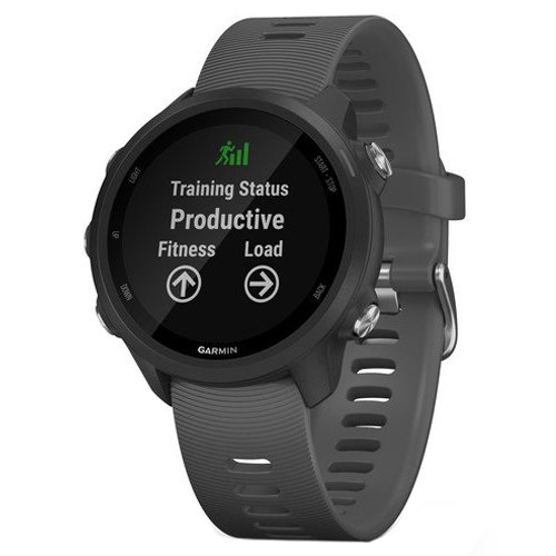 Часы для спорта Garmin Forerunner 245 Slate Gray