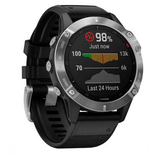 Часы для спорта Garmin Fenix 6 Silver