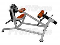 ТД-0250-D «Маятник» пресса и спины ProfiGym