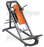 Тренажер Гаккеншмидта ProfiGym