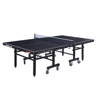 Профессиональный Теннисный стол Scholle TT830