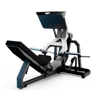 Жим ногами (Leg Press) рычаги серые D950
