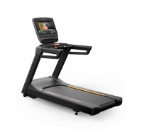 Беговая дорожка Endurance с консолью Touch XL Base