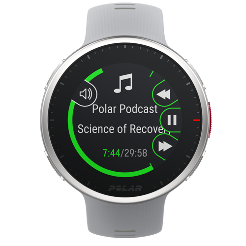 Часы для спорта Polar Vantage V2 Gray Lime HR (H10)