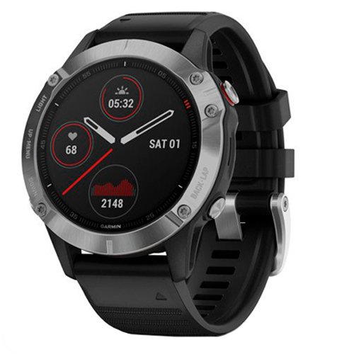 Часы для спорта Garmin Fenix 6 Silver