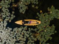 Деревянный Sup Zanoza 11′8" X 31" Mitrich Boats&boards