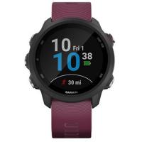 Часы для спорта Garmin Forerunner 245 Berry