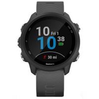 Часы для спорта Garmin Forerunner 245 Slate Gray