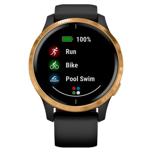 Часы для спорта Garmin Venu Gold Black