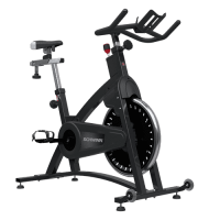 Сайкл Schwinn IC Classic