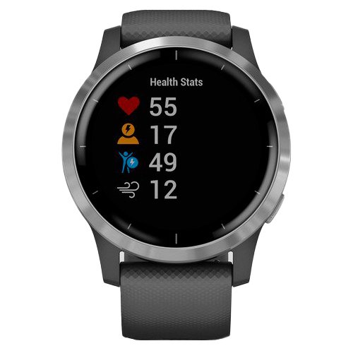 Часы для спорта Garmin Vivoactive 4 Silver Gray