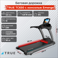 Беговая дорожка True TC650 c консолью Emerge