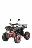 Электроквадроцикл White Siberia PRO SNEG 3000W Черный