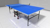 Теннисный стол всепогодный Wips Roller Outdoor Composite (B-6) синий