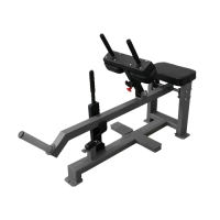 Голень сидя Bronze Gym BGR-807