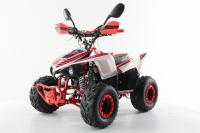 Квадроцикл MOTAX GRIZLIK MIKRO 110 NEW