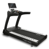 Беговая дорожка Bronze Gym T1120 PRO