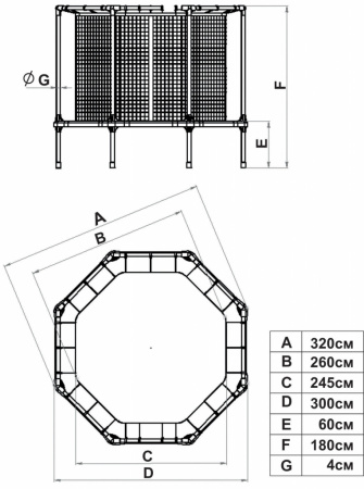 Батут Leco Starter 310 см