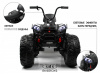 Детский электроквадроцикл A111AA 4WD Черный Spider