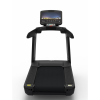 Беговая дорожка CardioPower Pro CT550
