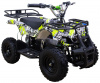 Электроквадроцикл ATV Classic 800W