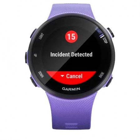 Часы для спорта Garmin Forerunner 45S Iris