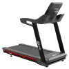 Беговая дорожка CardioPower Pro CT230