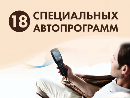 Массажное кресло Fujimo 氣 Flexor F500 Brown