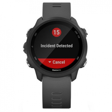 Часы для спорта Garmin Forerunner 245 Slate Gray