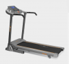 Беговая дорожка Applegate T20 M