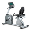 Горизонтальный велотренажер Circle Fitness с TFT LCD дисплеем Circle Fitness R6 E