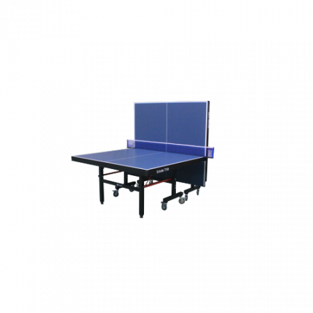 Профессиональный теннисный стол Scholle T750