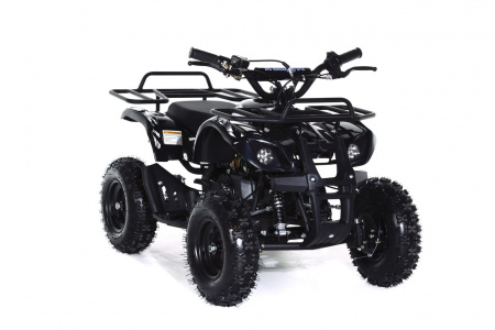 Квадроцикл Motax ATV Mini Grizlik X-16 (э/с) Черный
