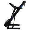Беговая дорожка Evo Fitness Genesis
