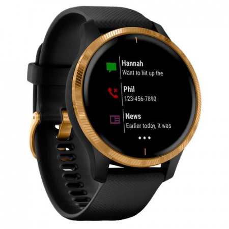 Часы для спорта Garmin Venu Gold Black