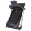 Беговая дорожка Strength Master TM6050