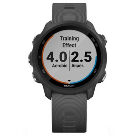Часы для спорта Garmin Forerunner 245 Slate Gray