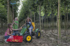 Веломобиль Berg Case-IH BFR 3