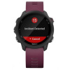 Часы для спорта Garmin Forerunner 245 Berry