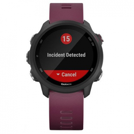 Часы для спорта Garmin Forerunner 245 Berry