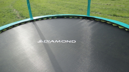 Diamond Fitness Black Edition 10ft (305 См) Батут с защитной сеткой и лестницей
