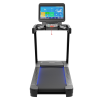 Беговая дорожка CardioPower Pro CT420