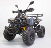 Электроквадроцикл GreenCamel Атакама T500