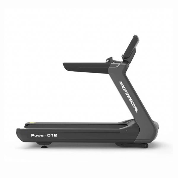 Профессиональная Беговая дорожка UltraGym UG-Power 012