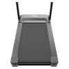 Беговая дорожка CardioPower Pro CT230