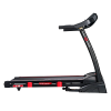 Беговая дорожка CardioPower T30 New